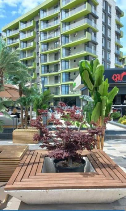 Alezzy Beach Apartament Prima Linie La Mare Navodari Luaran gambar
